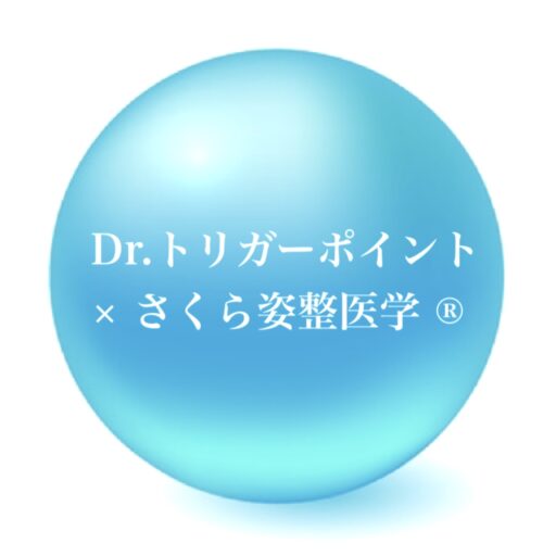 奈良市カイロプラクティック整体